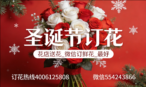 ���ݲ��ϻ���
