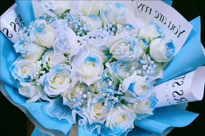 ���ݲ��ϻ���