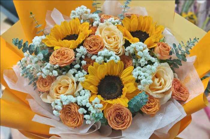 ���ݲ��ϻ���