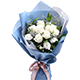 ���ݲ���������
